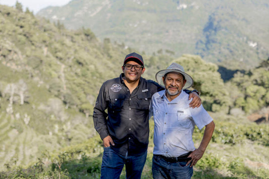 Kaffe fra Guatemala