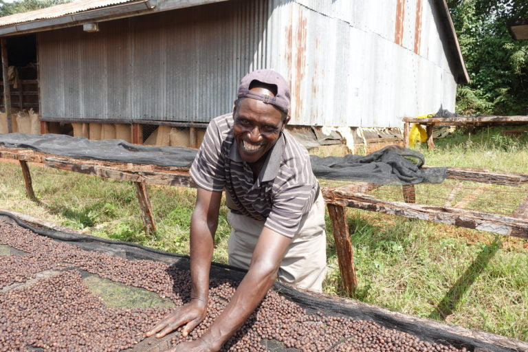 Kaffe fra Kenya