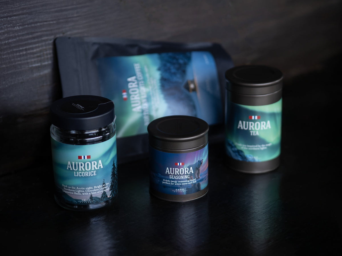 Explore Norway Aurora